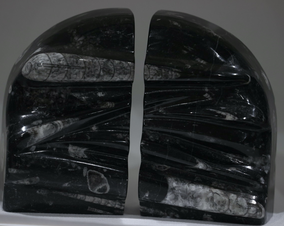 Orthoceras Fossil Bookends
