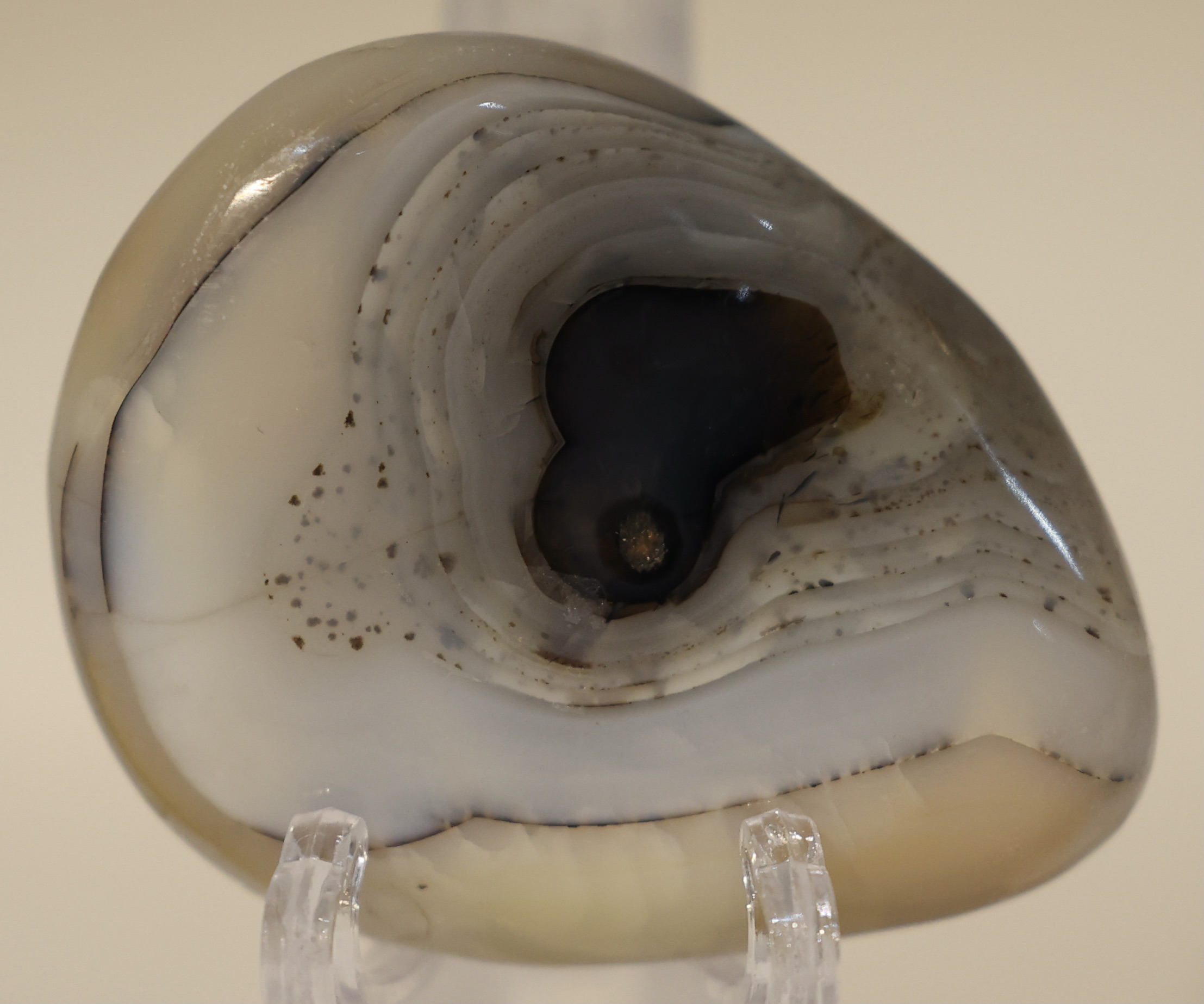 Dendritic Agate