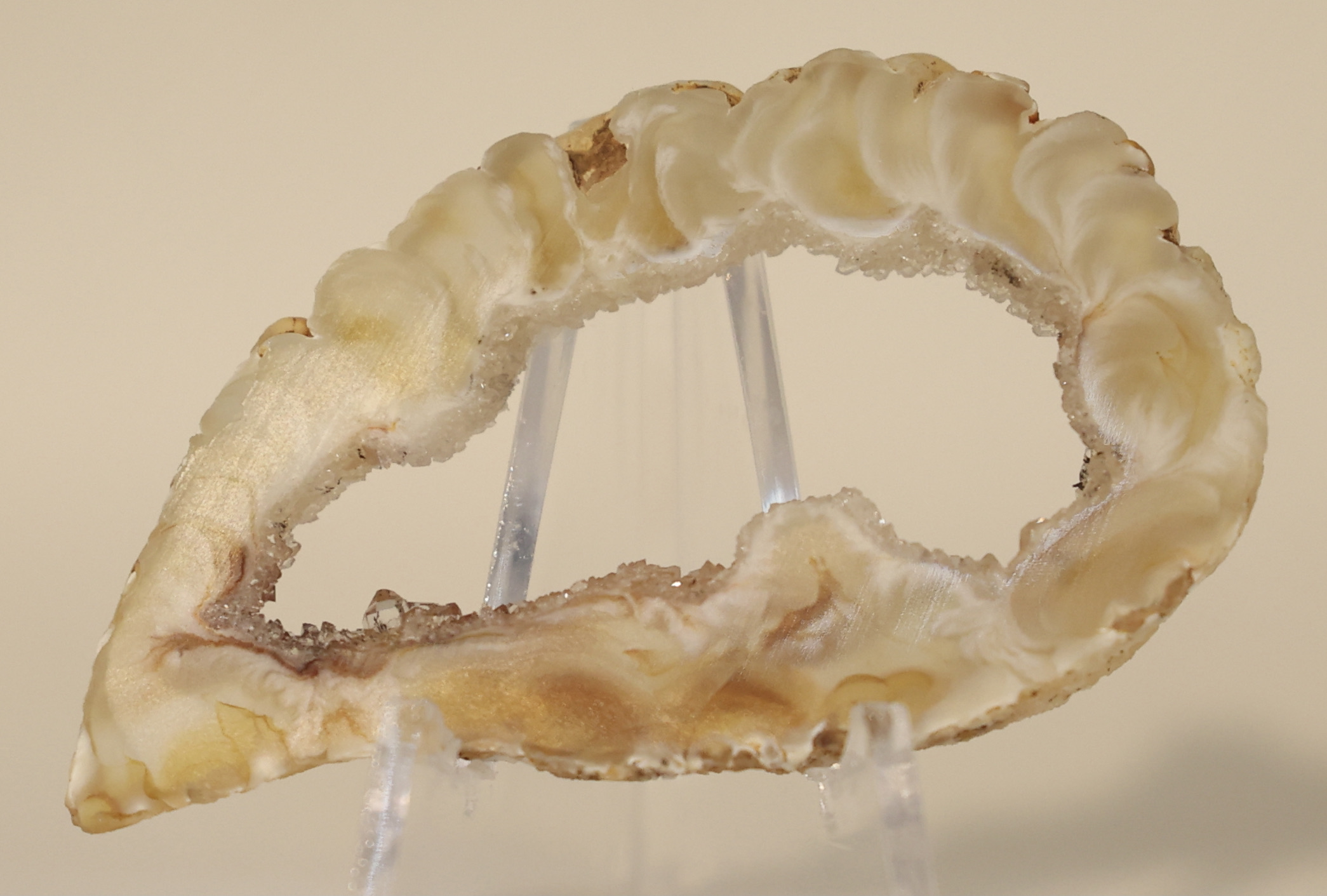Druzy Agate Geode Slice