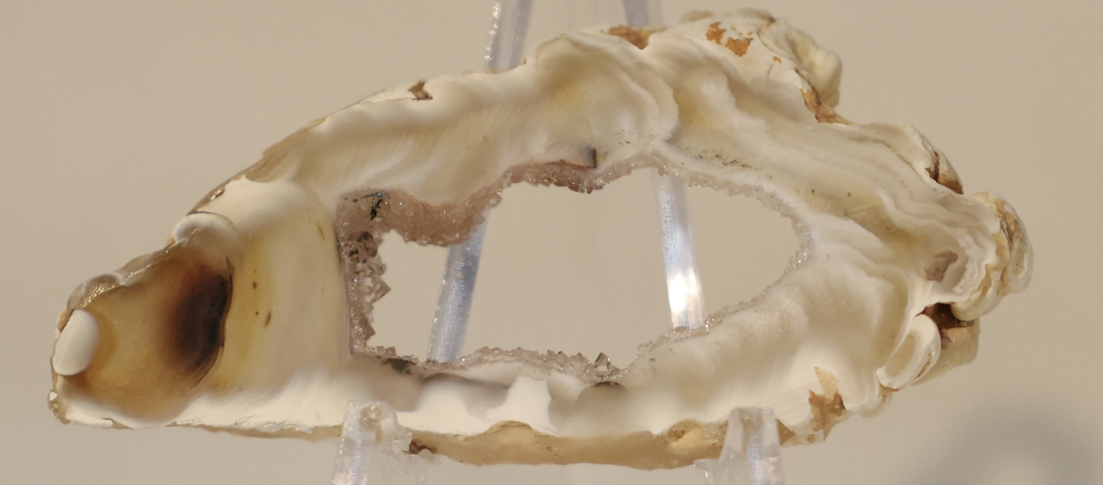 Druzy Agate Geode Slice