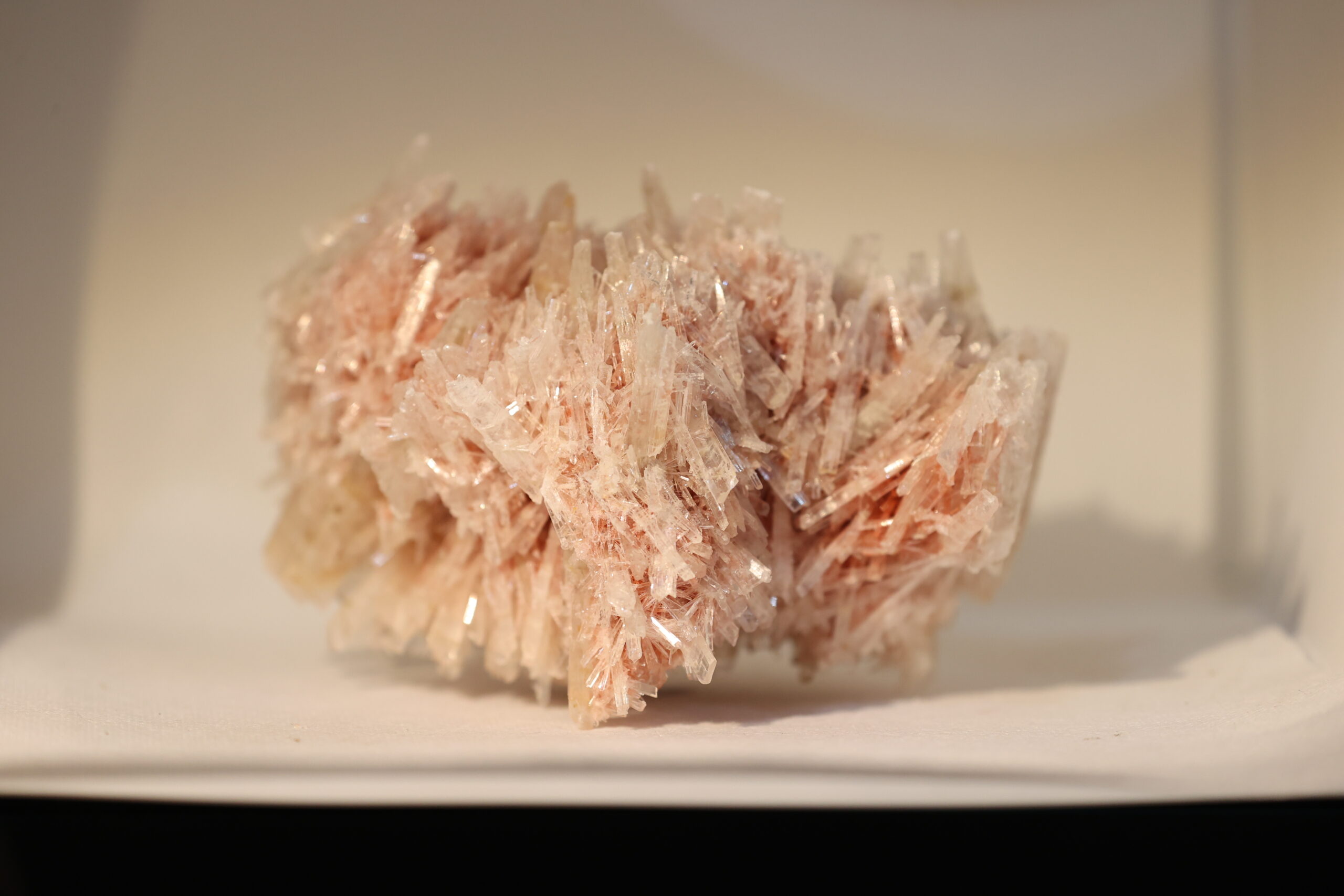 Pink Halite Cluster