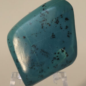 Ar94 Chrysocolla Congo